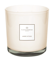 Большая аромасвеча "Драгоценная амбра" 1100гр Plantes et Parfums
